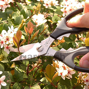 X'SOR DW-G7180 一把就能搞定整個灌木花圃的修剪.